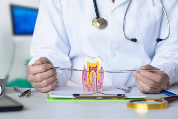 Best Knocked-Out Tooth Emergency  in Mulberry, FL
